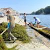 Eradicazione di specie esotiche nel fiume Po Eradicazione di specie esotiche nel fiume Po