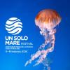 Festival Un solo Mare