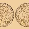 immagini in caratteri ebraici
