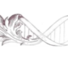 Logo Convegno Bioscienze nei beni culturali Logo Convegno Bioscienze nei beni culturali