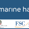 Logo progetto marine Hazard