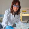 Valentina Iannilli, ricercatrice del Laboratorio Biodiversità ed Ecosistemi durante selezione e prelievo di individui di E. veneris