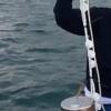 Campionatore passivo pronto per il posizionamento in mare