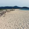 Staccionate per la protezione delle dune e della vegetazione delle sabbie costiere.
