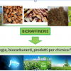 Biocarburanti e bioraffinerie 