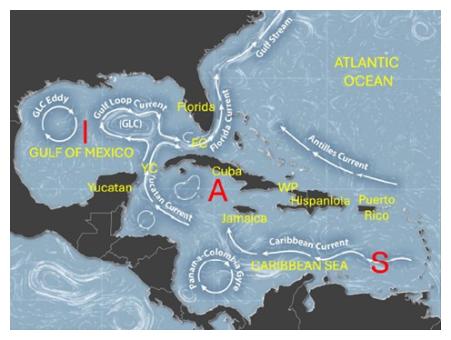 Circolazione oceanica Cuba