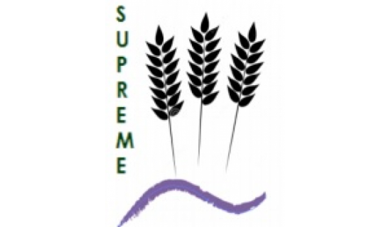 Logo SUPREME