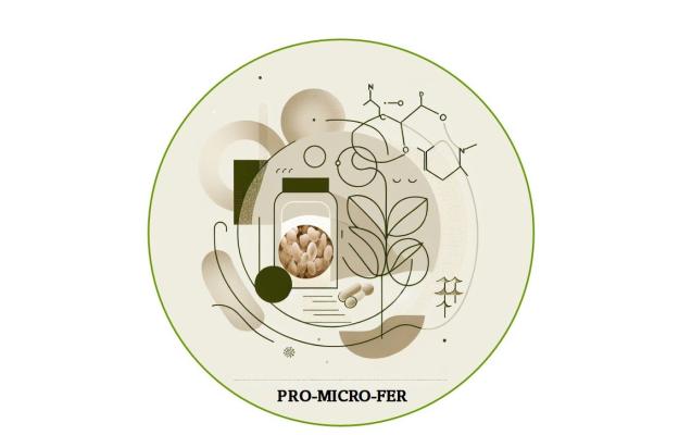 logo pro-micro-fer