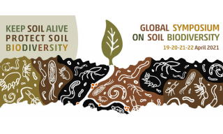 Global Symposium sulla biodiversità del suolo 2021