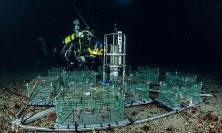 Installazione del laboratorio sottomarino nel mar di Ross in Antartide 