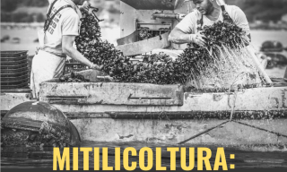 Mitilicoltura: un gusto sostenibile