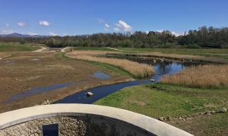 Area di fitodepurazione all’interno delle vasche di laminazione del Fiume Lura