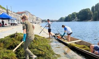 Intervento sperimentale di Estirpazione della vegetazione esotica nel fiume Po Intervento sperimentale di Estirpazione della vegetazione esotica nel fiume Po